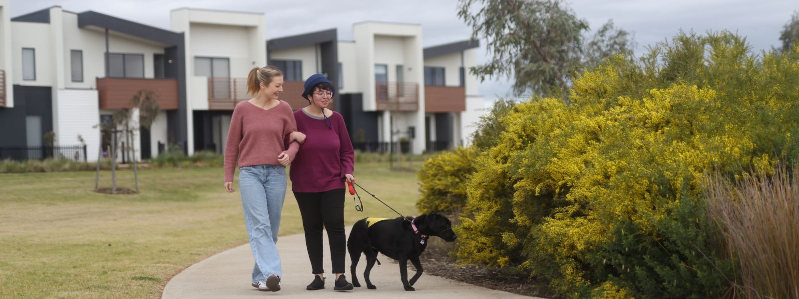 Streetscape representing the City of Melton, from the older township to the newer eastern suburbs